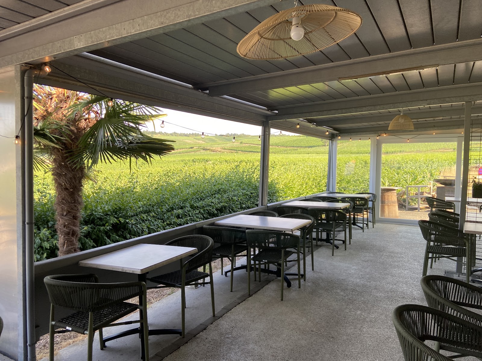 Terrasse couverte de L’Écrin, tables et chaises noires, vignobles en arrière-plan