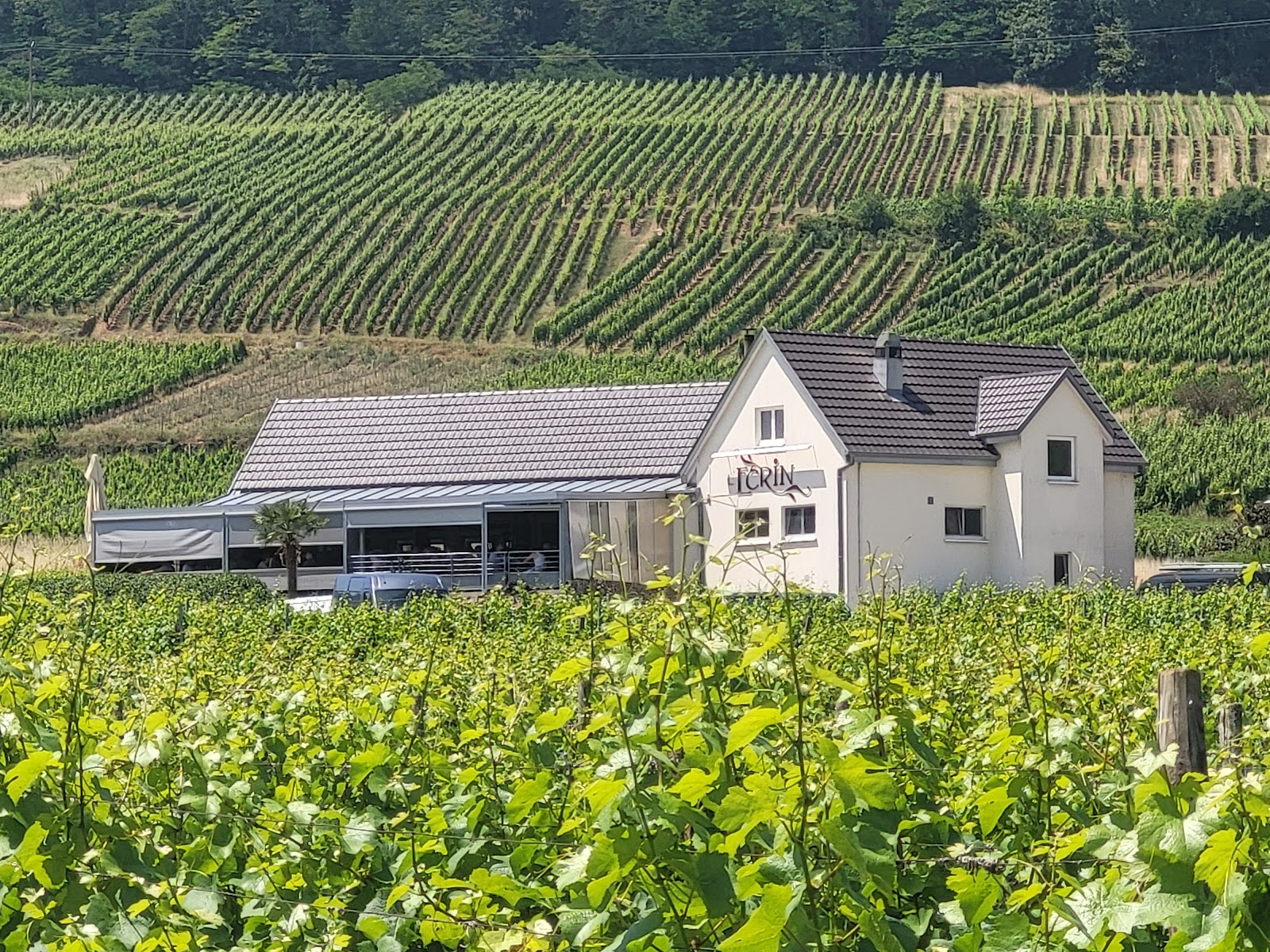 Façade du restaurant L’Écrin entourée de vignobles