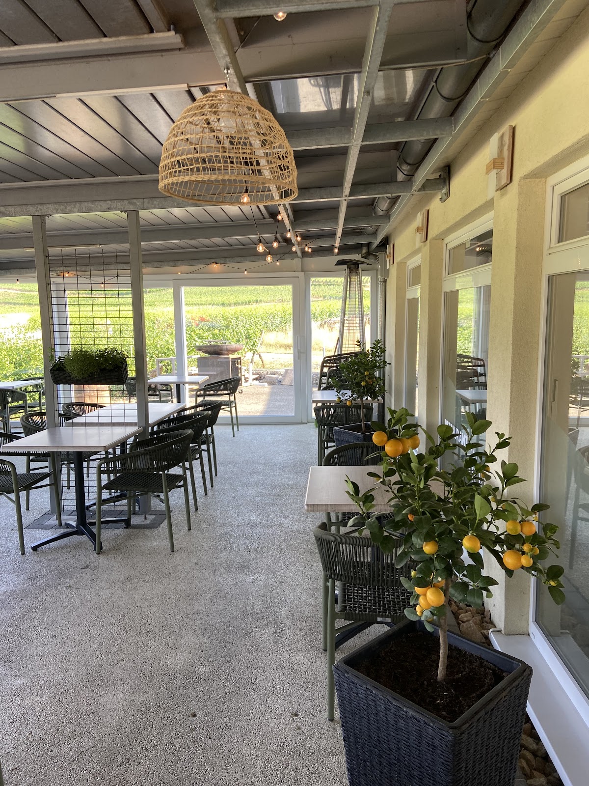 Restaurant avec suspension en rotin, tables et vue sur les vignobles