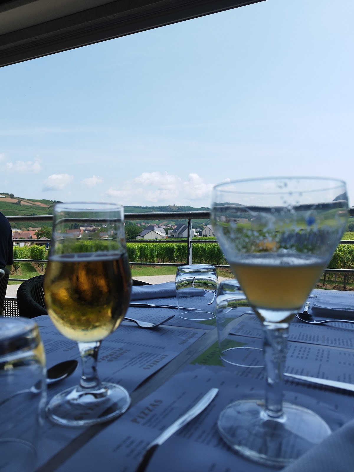 Verres de vin blanc et rosé avec les vignobles en arrière-plan